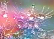 九游娱乐入口-IG鏖战GEN，ShowMaker三分雨点燃全场