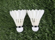 九游娱乐官方-丹麦羽毛球队横扫泰国羽毛球队，陶菲克完成帽子戏法