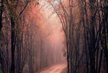 九游娱乐官方-包含武汉卓尔卫冕冠军，夺得中超榜首位置的词条