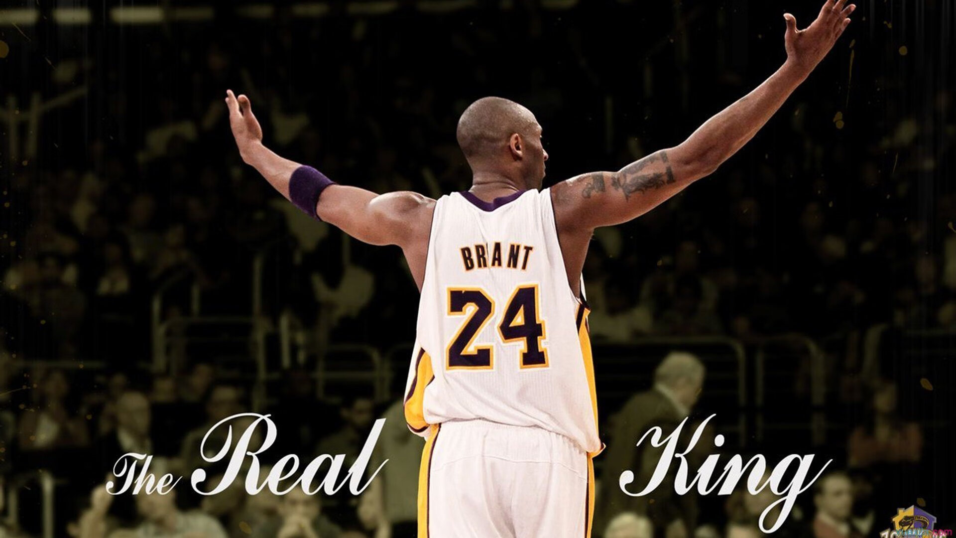 西决生死战之夜，字母哥的完美风暴